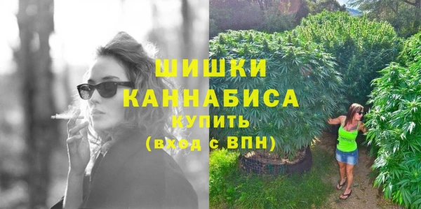 тгк Кулебаки